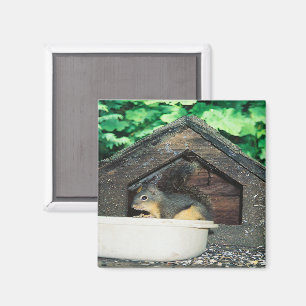 Mein Freund... Magnet