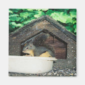 Mein Freund... Magnet (Vorne)