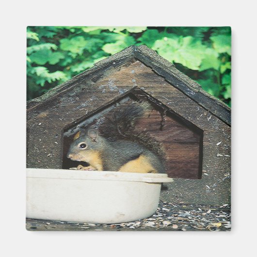 Mein Freund... Magnet (Vorne)