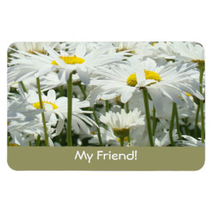 Mein Freund! Magnete Weiße Gänseblümchen Blumen Fr