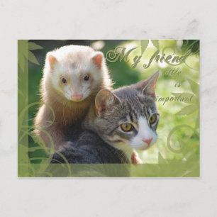 Mein Freund Postkarte