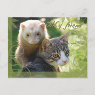 Mein Freund Postkarte