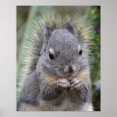 Mein Freund schwindelt Poster (Vorne)