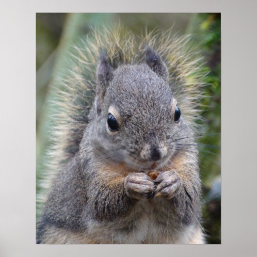 Mein Freund schwindelt Poster (Vorne)