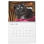 Mein Freund-Trio Kalender (Feb 2026)