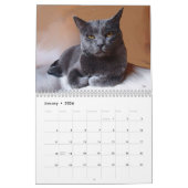 Mein Freund-Trio Kalender (Jan 2026)