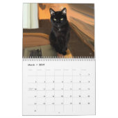 Mein Freund-Trio Kalender (Mär 2019)