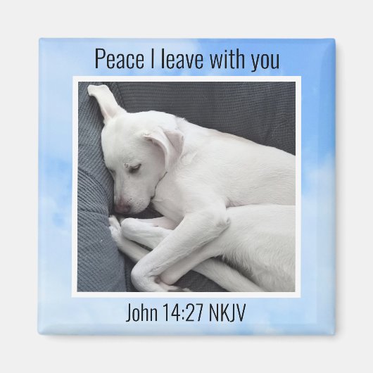 Mein Frieden, den ich dir Bible Verse Dog in Blue  Magnet (Vorne)
