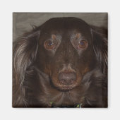 Mein Fur Baby 1 Foto Magnet (Vorne)