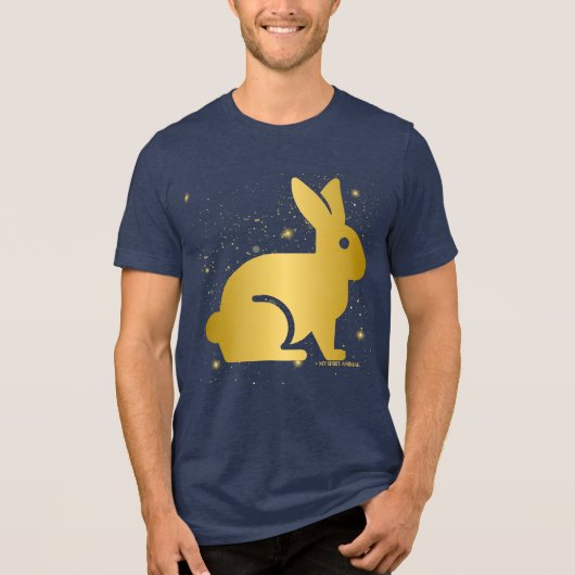 Mein Geist Tier - Kaninchen Tri-Blend Shirt (Vorderseite)