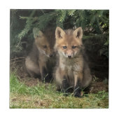 Mein Geschwister Fliese (Vorderseite)