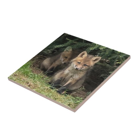 Mein Geschwister Fliese (Seite)