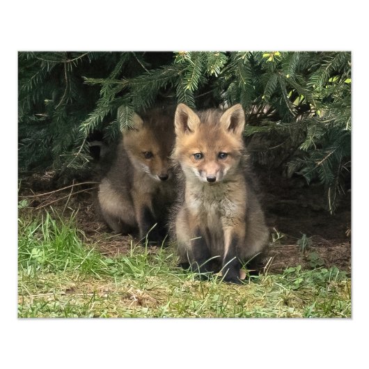 Mein Geschwister Fotodruck (Vorne)