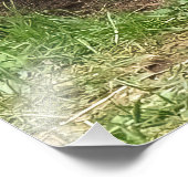 Mein Geschwister Fotodruck (Ecke)