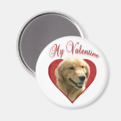 Mein Goldener Retriever Valentine Magnet (Vorderseite/Rückseite)