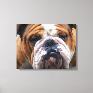 Mein Grumpy Hund ist Sprichwort Bulldog !!! Leinwanddruck