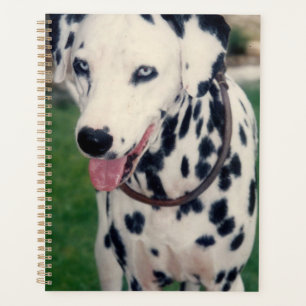 Mein Hausfreund Bestie Dalmatiner Hund Custom Planer