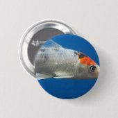 Mein Haustier Koi Fisch Button (Vorne & Hinten)