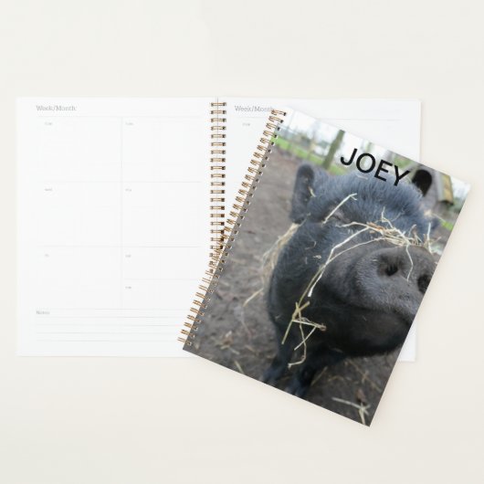 Mein Haustier Schwein. Planer (Anzeige)