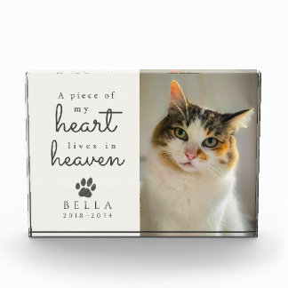 Mein Herz lebt im Himmel Cream Katze Gedenkstätte Fotoblock