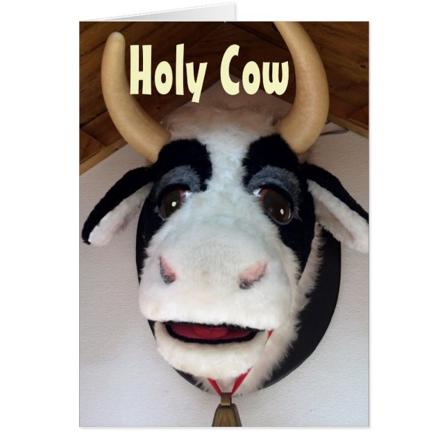 MEIN HERZ ***MOOS FÜR SIE***** VERMISST SIE (Vorne)