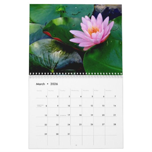 Mein Hoppingplatz Kalender (Mär 2026)