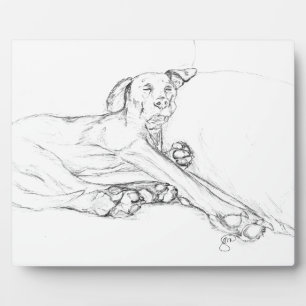 Mein Hund Bell "alle Beine", eine Skizze Fotoplatte