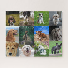 Mein Hund FotoCollage auf
