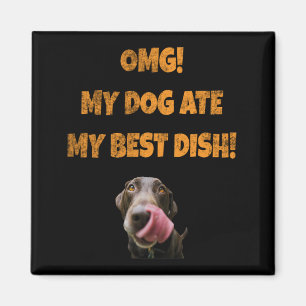 Mein Hund hat meinen besten Edelstahlwasserbottich Magnet