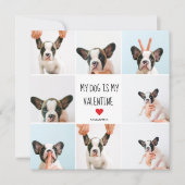 Mein Hund ist mein Valentine | Zwei Hunde - Fotos (Vorderseite)