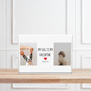 Mein Hund ist mein Valentine   Zwei Hunde - Fotos