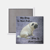 Mein Hund ist nicht fett Mops Magnet (Vorderseite/Rückseite)