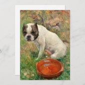 Mein Hund | Karl Georg Arsenius (Vorne/Hinten)