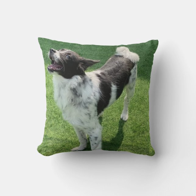 Mein Hund Kissen (Vorderseite)