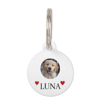 Mein Hund personalisiertes Foto & Name rundes Hund Haustiermarke