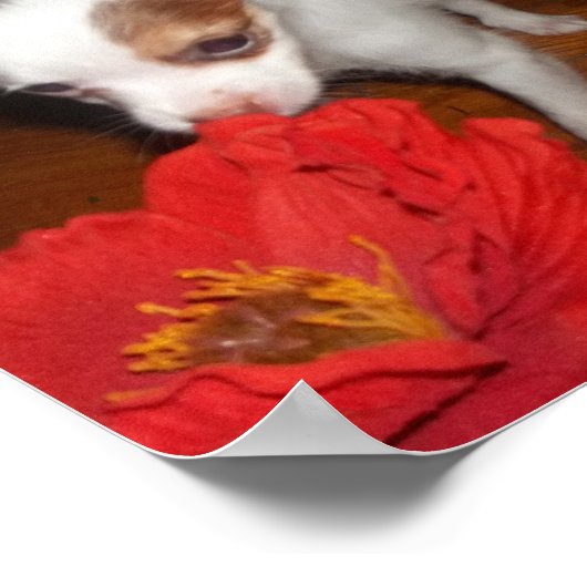 Mein Hund Poster (Ecke)