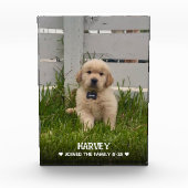 Mein Hunde-Foto Fotoblock (Vorderseite)