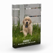 Mein Hunde-Foto Fotoblock (Links)