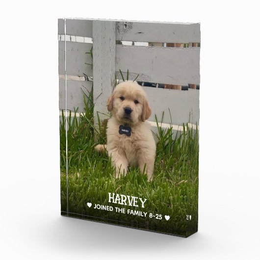 Mein Hunde-Foto Fotoblock (Rechts)