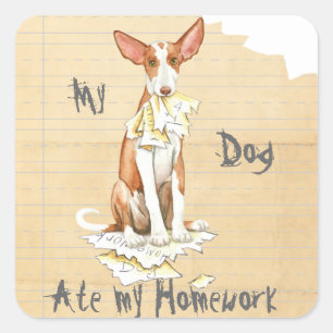 Mein Ibizan Hound aß meine Hausaufgaben Quadratischer Aufkleber