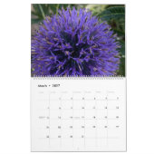 Mein Inspirationskalender Kalender (Mär 2027)