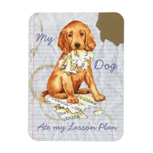 Mein irischer Setter Ate My Lessingplan Magnet