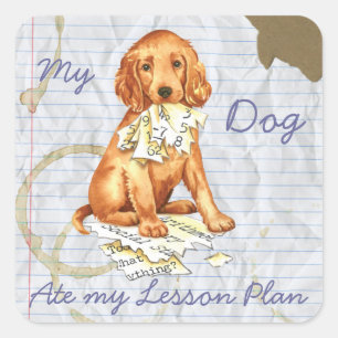Mein irischer Setter Ate My Lessingplan Quadratischer Aufkleber