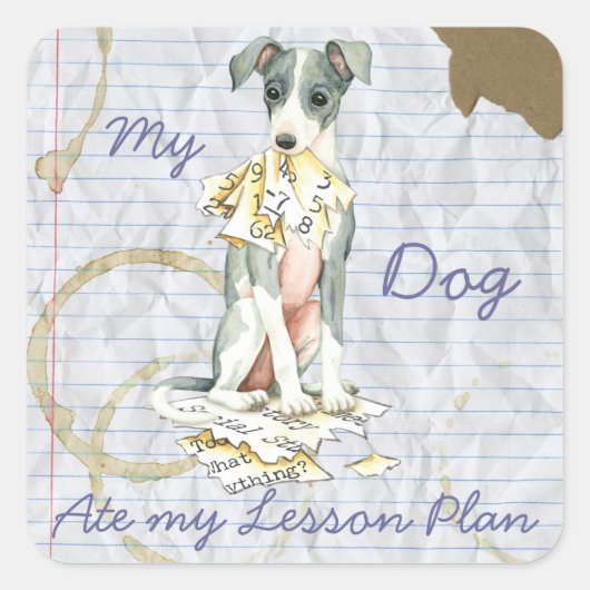 Mein italienischer Greyhound Ate My Lessingplan Quadratischer Aufkleber (Vorderseite)