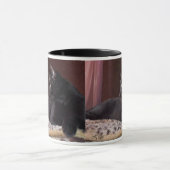 Mein Junge, Charlie Tasse (Zentrum)