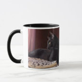 Mein Junge, Charlie Tasse (Links)