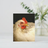 Mein Junge Postkarte (Stehend Vorderseite)