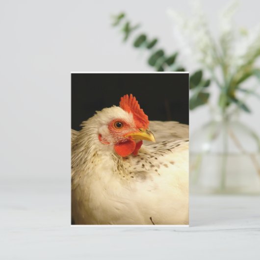 Mein Junge Postkarte (Stehend Vorderseite)