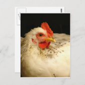 Mein Junge Postkarte (Vorne/Hinten)