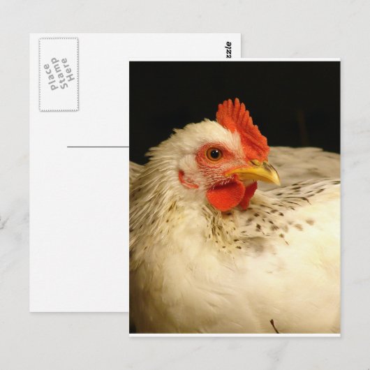 Mein Junge Postkarte (Vorne/Hinten)